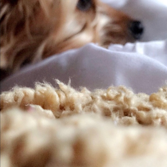 vanessawangg_